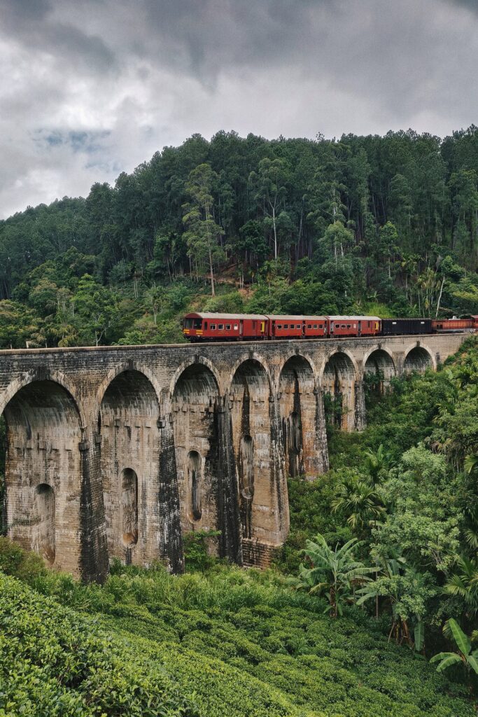 Discover Sri Lanka’s cultural treasures and natural beauty on a journey through its most iconic destinations. Explore sacred sites, tea country, and vibrant cities, then unwind by the golden sands of Bentota. A perfect balance of heritage, adventure, and seaside leisure.